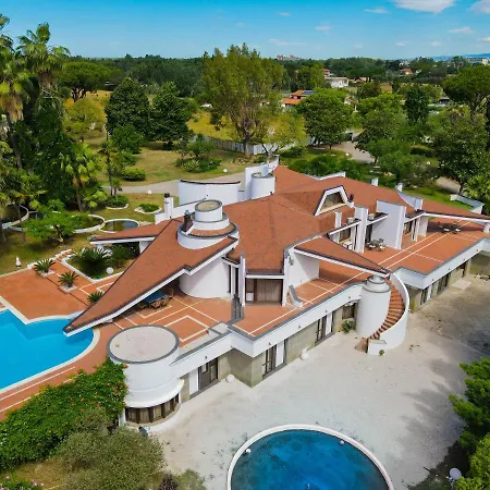 Paradise Латина