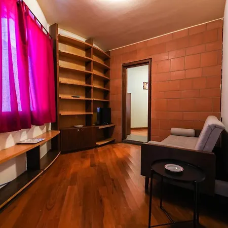 Paradise ラティーナ